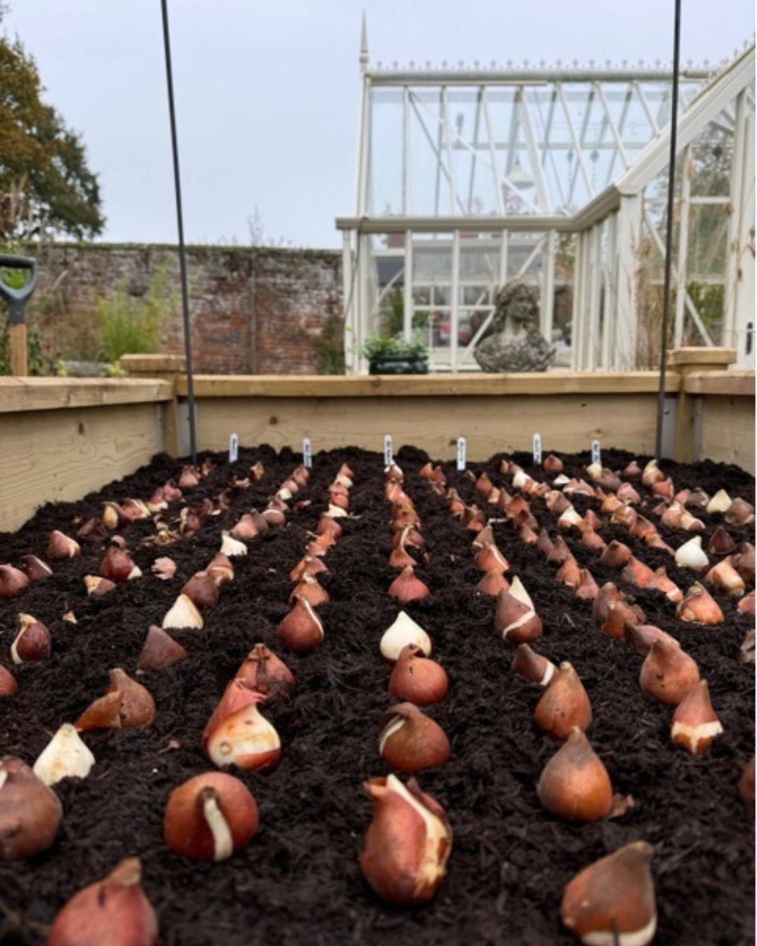 Michelle Jenkins Blog 2